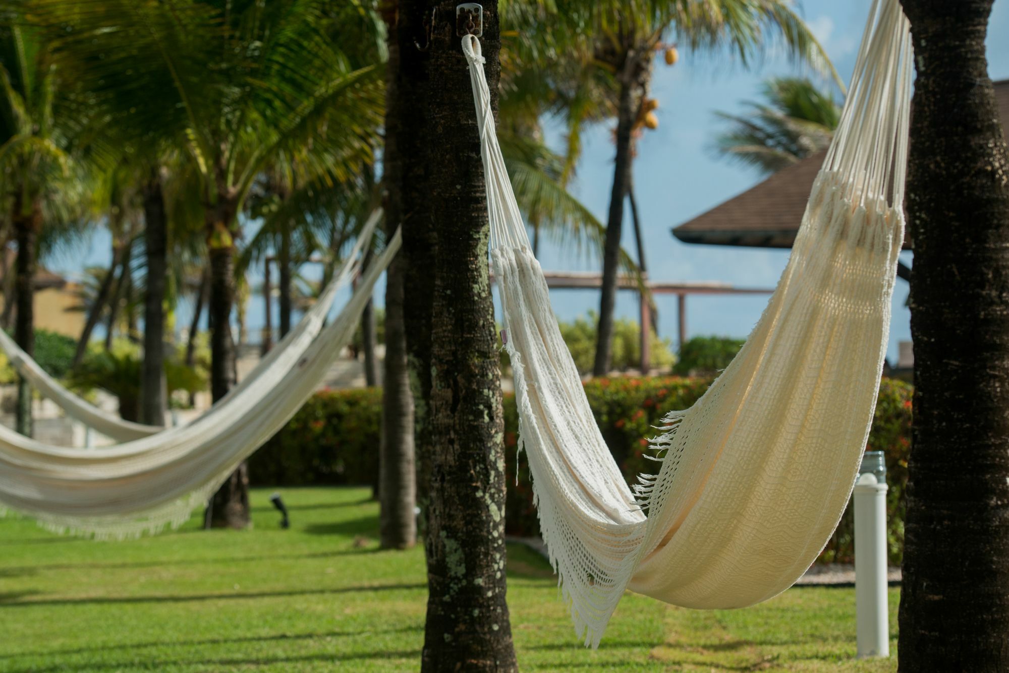 Wish Natal Hotel Exterior photo Hammocks at a resort